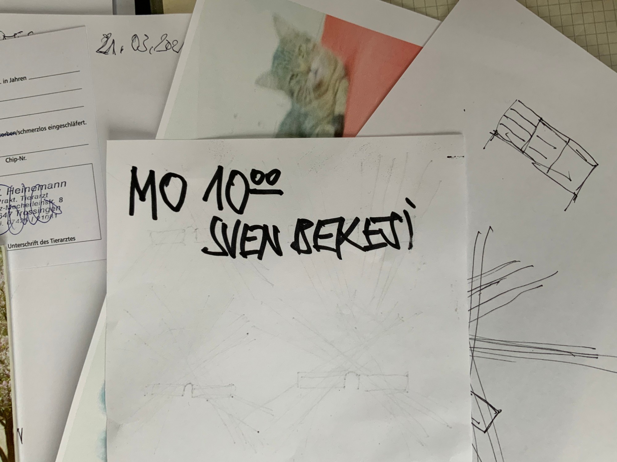 Sigle, 6